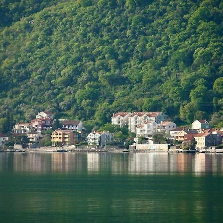 Ana Apartment Kotor Zewnętrze zdjęcie