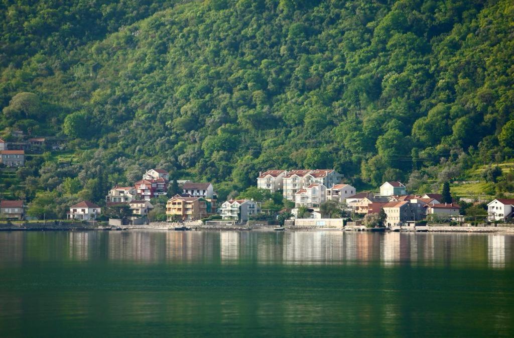 Ana Apartment Kotor Zewnętrze zdjęcie